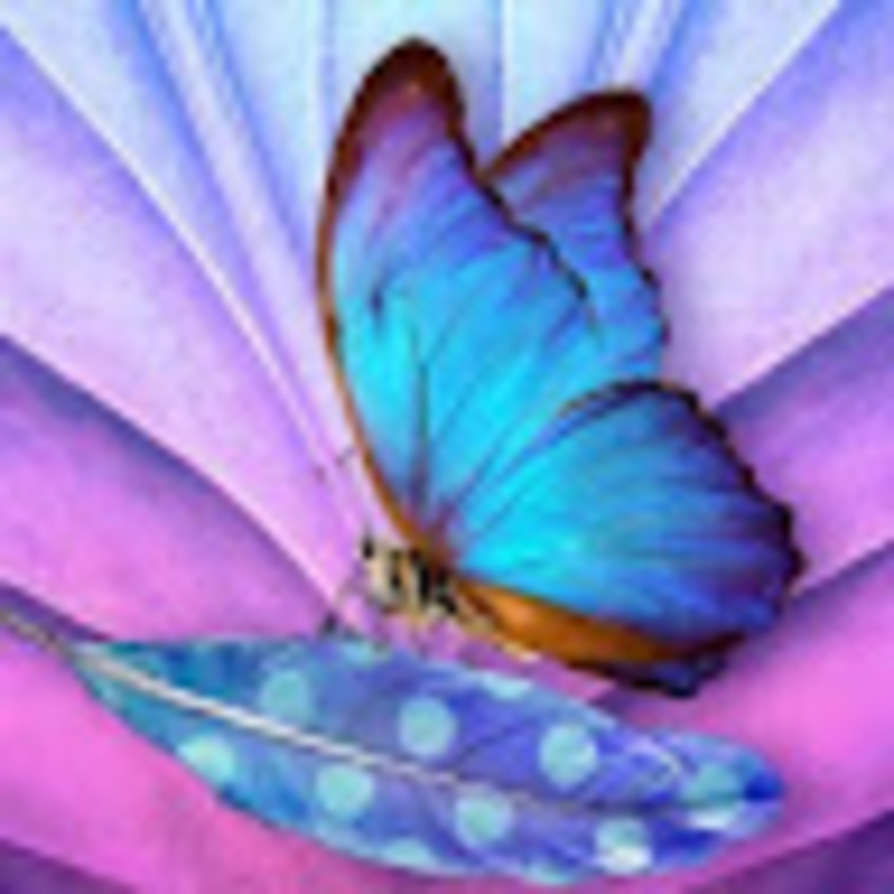 Meet your Posher, Tina